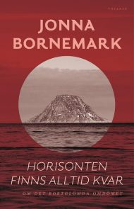 Bok om att veta vad det är att inte veta