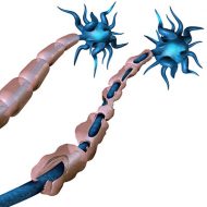 MS-experter efterlyser riktlinjer om rituximab