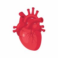 Samband mellan socioekonomi och blödning efter mekanisk aortaklaff