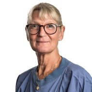 Livmedikus: »Kungafamiljen har rätt till samma vård som alla andra«