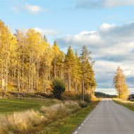 Ge allmänmedicinaren möjlighet till subspecialisering