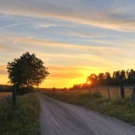 I livets slut förväntas vi alla passa in i den »palliativa mallen«