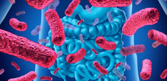 Penicillin V ökade förekomsten av betalaktamresistens i tarmfloran