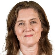 Önskan till tomten