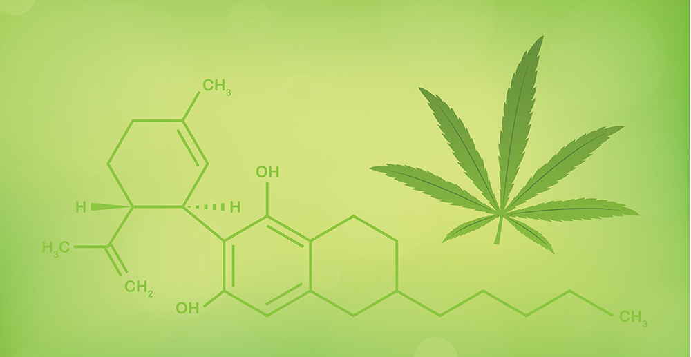 Paraplyöversikt ger en övergripande bild av cannabis hälsoeffekter