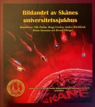 Frispråkigt om sammanslagningen i Skåne