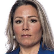 Vem styr egentligen – och behövs det körkort?