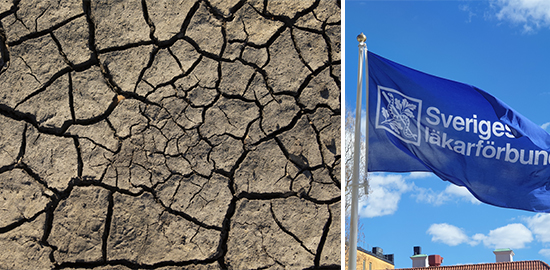 Klimatarbetet måste även drivas på hemmaplan, Läkarförbundet