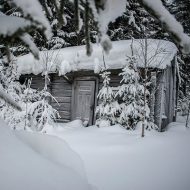 Det döda paret i skogstorpet