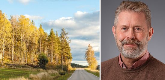»Sjukstugemodellen kan nog inspirera vården i högre grad«