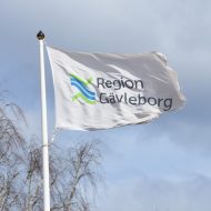 Beslut om bolagiserad primärvård i Region Gävleborg överklagas