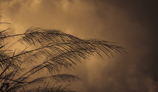 Suicidprevention – prognosen är god om hjälpen erbjuds i tid