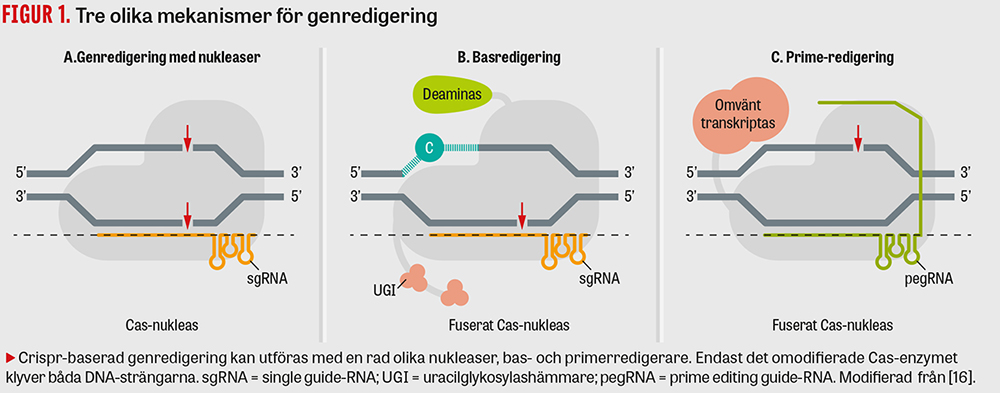 Genredigering förändrar snabbt behandling av ärftliga sjukdomar