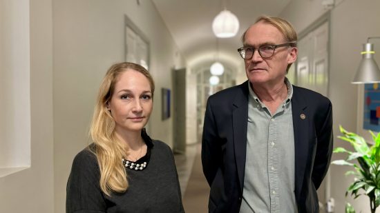 Region Stockholm trygg med vården i jul och nyår – läkare håller inte med