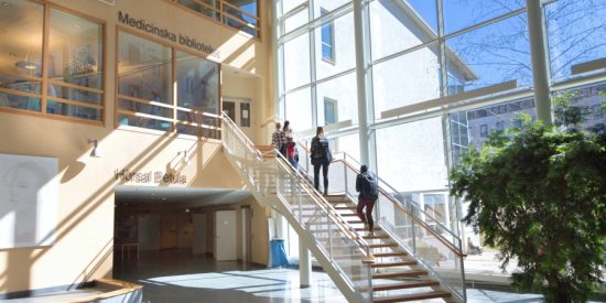 Studentprotester mot stängning av medicinska biblioteket i Umeå