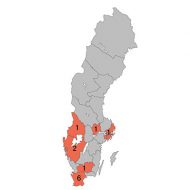 Kokoppor i Sverige – sannolikt en underdiagnostiserad sjukdom