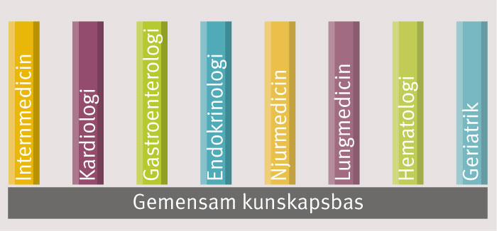 Allmänmedicinsk kunskapsbas bra för ST och läkarutbildning